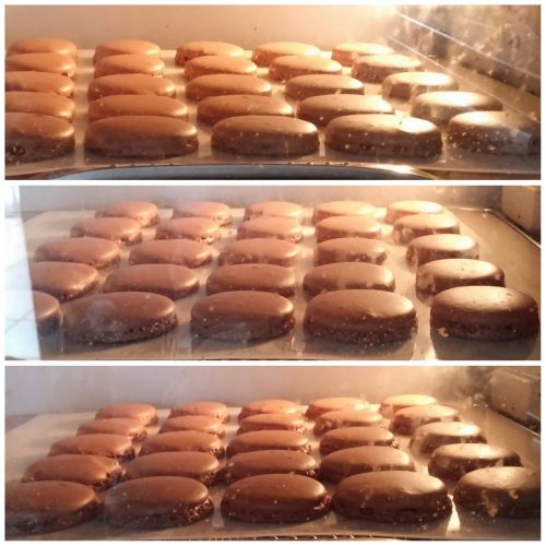 How my macarons rose in my oven. 馬卡龍在焗爐內的狀况。